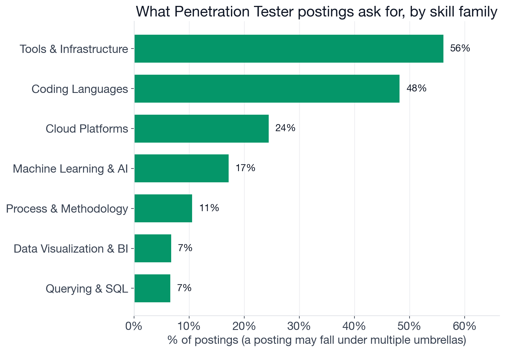 Skill families in Penetration Tester postings: Other (cybersecurity-specific skills) 95%, Tools and Infrastructure 56%, Coding Languages 48%, Cloud Platforms 24%, Machine Learning and AI 17%